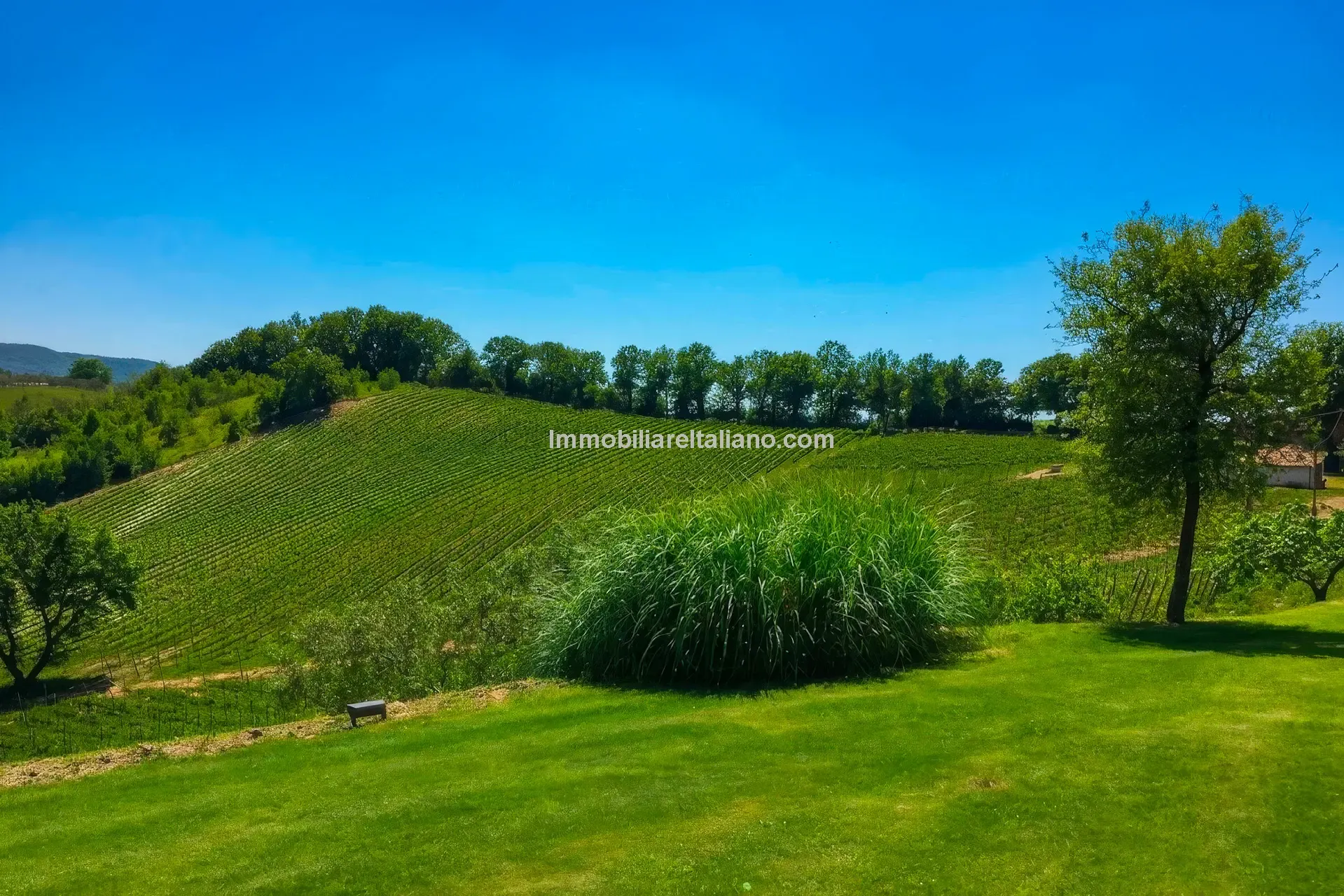 Expansive Farmhouse with Vineyard in Lazio's Scenic Countryside - View image 19 of 42