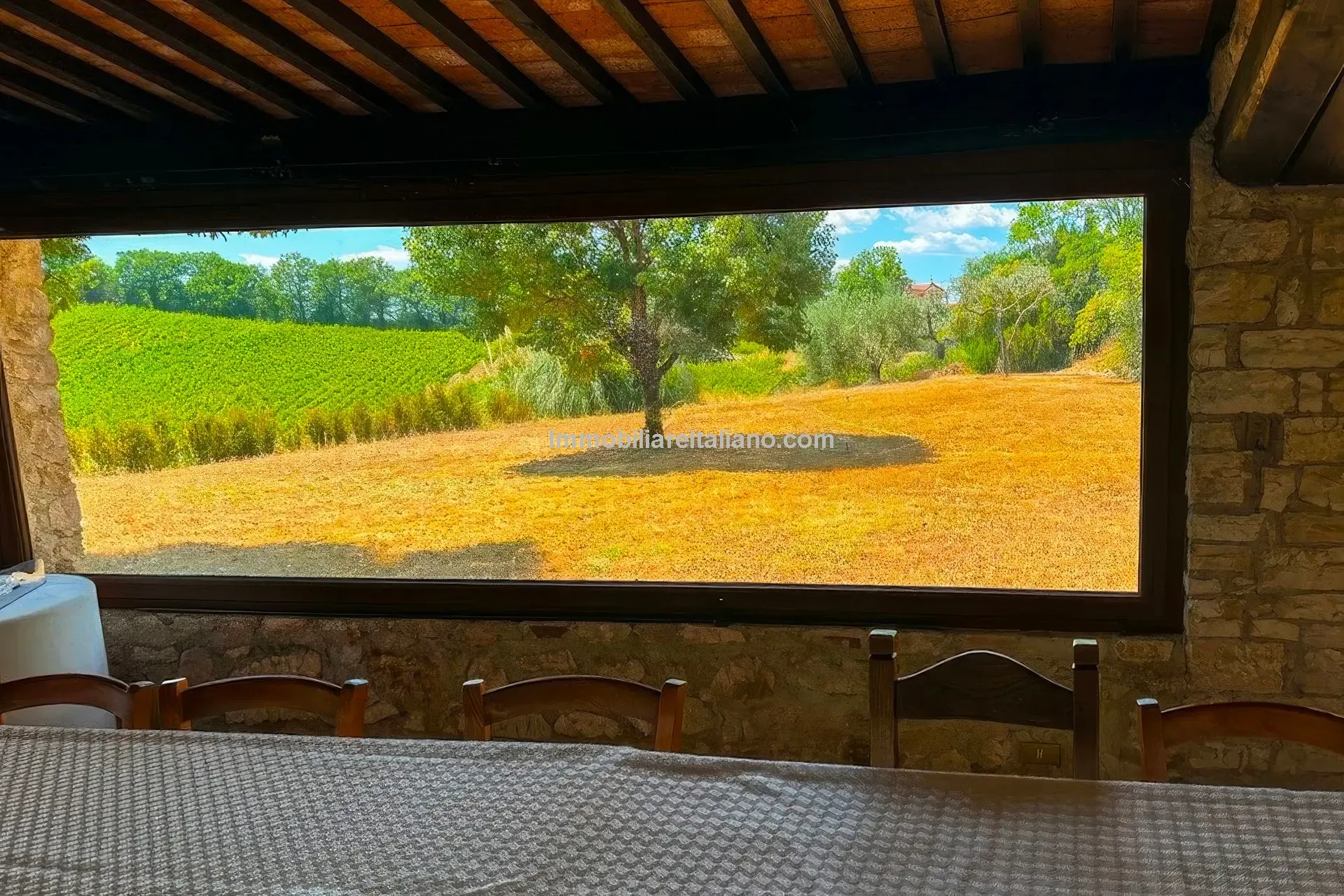 Expansive Farmhouse with Vineyard in Lazio's Scenic Countryside - View image 28 of 42