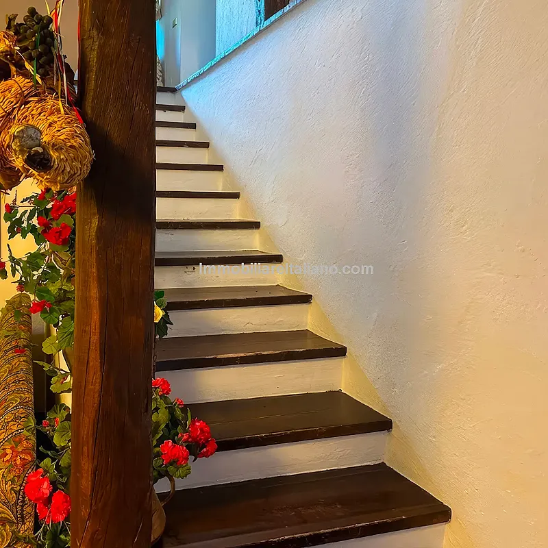 View image 31