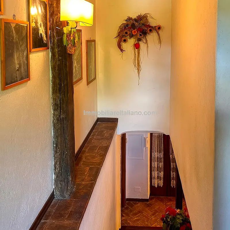 View image 35
