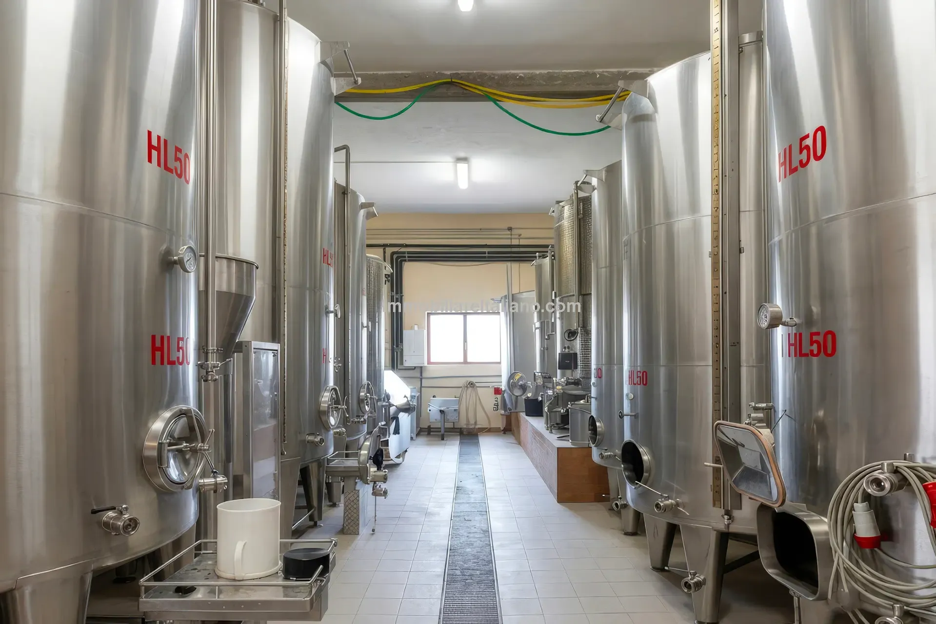 Expansive Farmhouse with Vineyard in Lazio's Scenic Countryside - View image 40 of 42