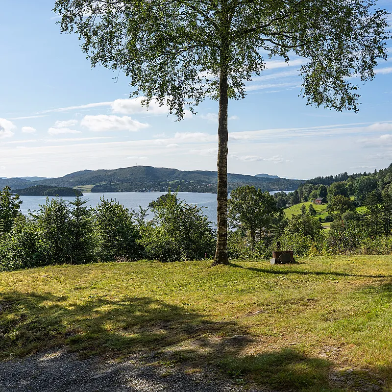 View image 10