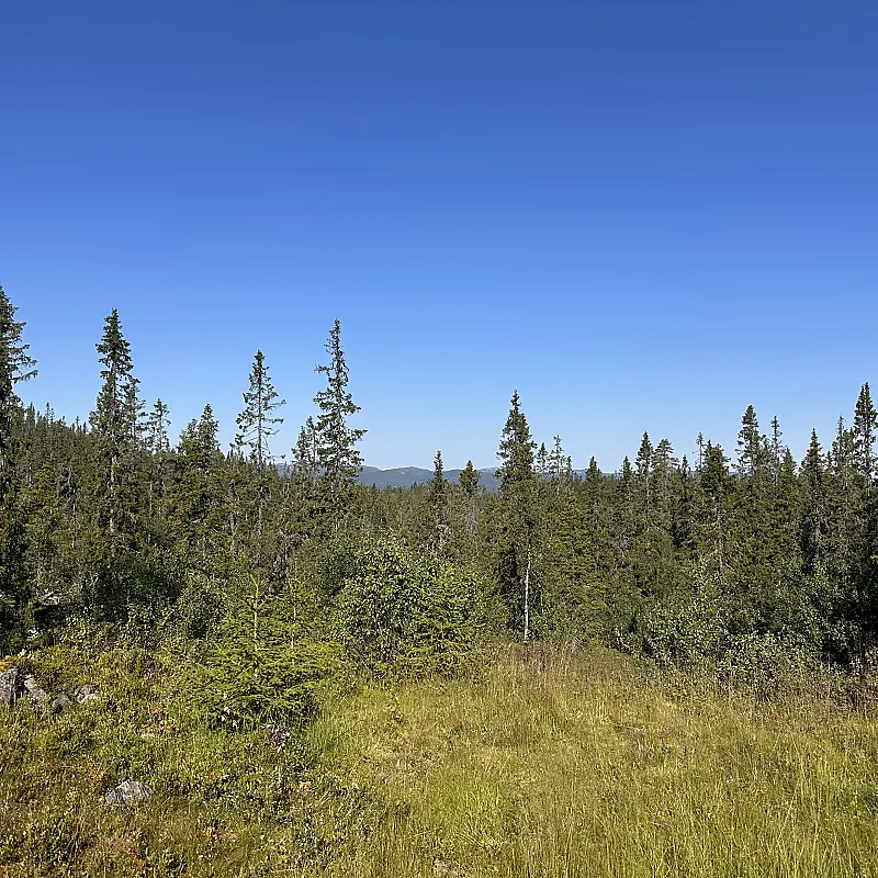View image 31