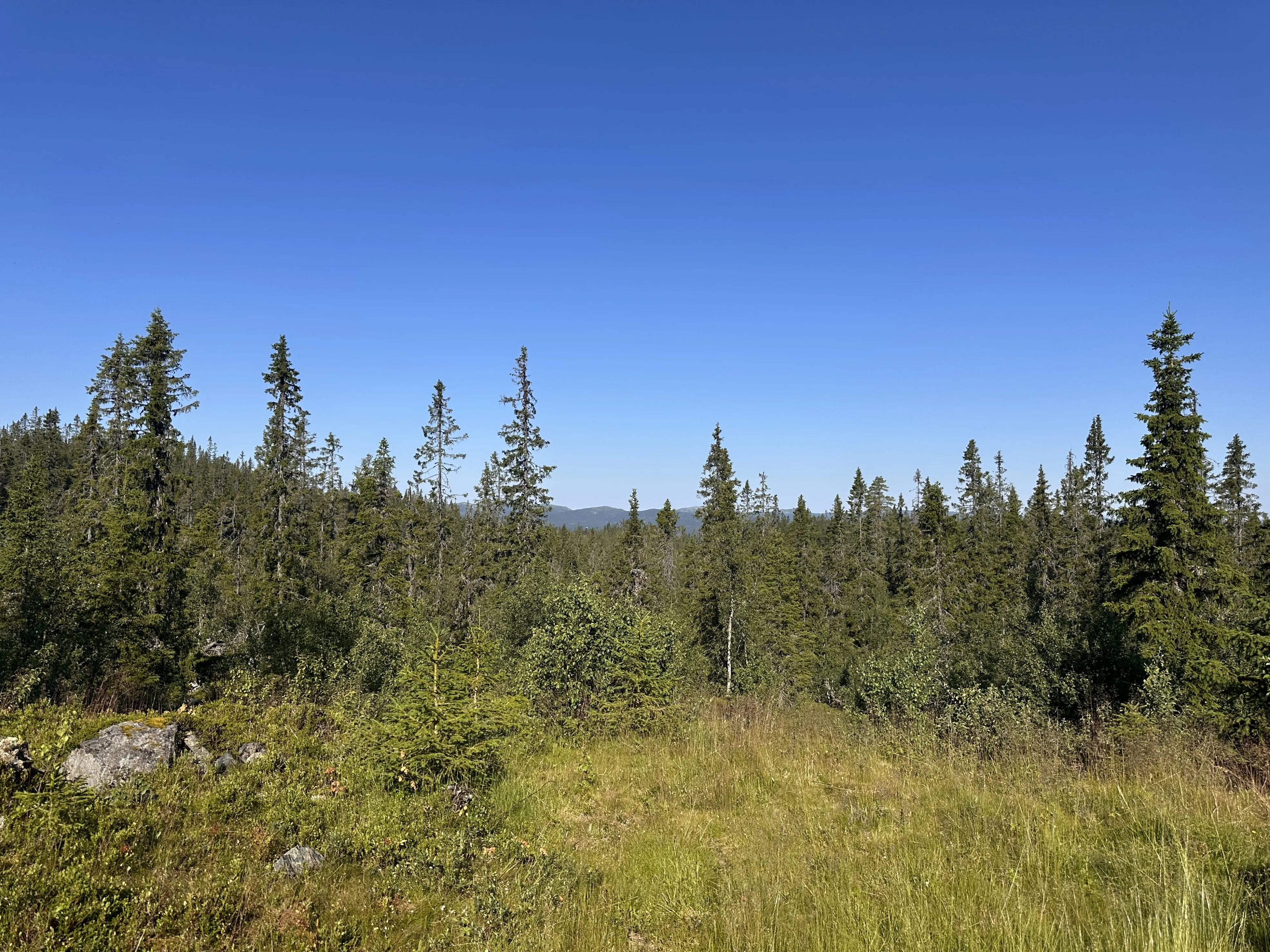 Rustic 2-Bedroom Cabin with Annex and Expansive Grounds in Etnedal, Norway - View image 31 of 31