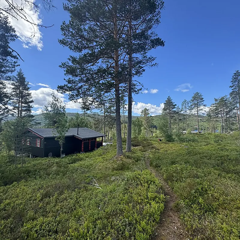 View image 6