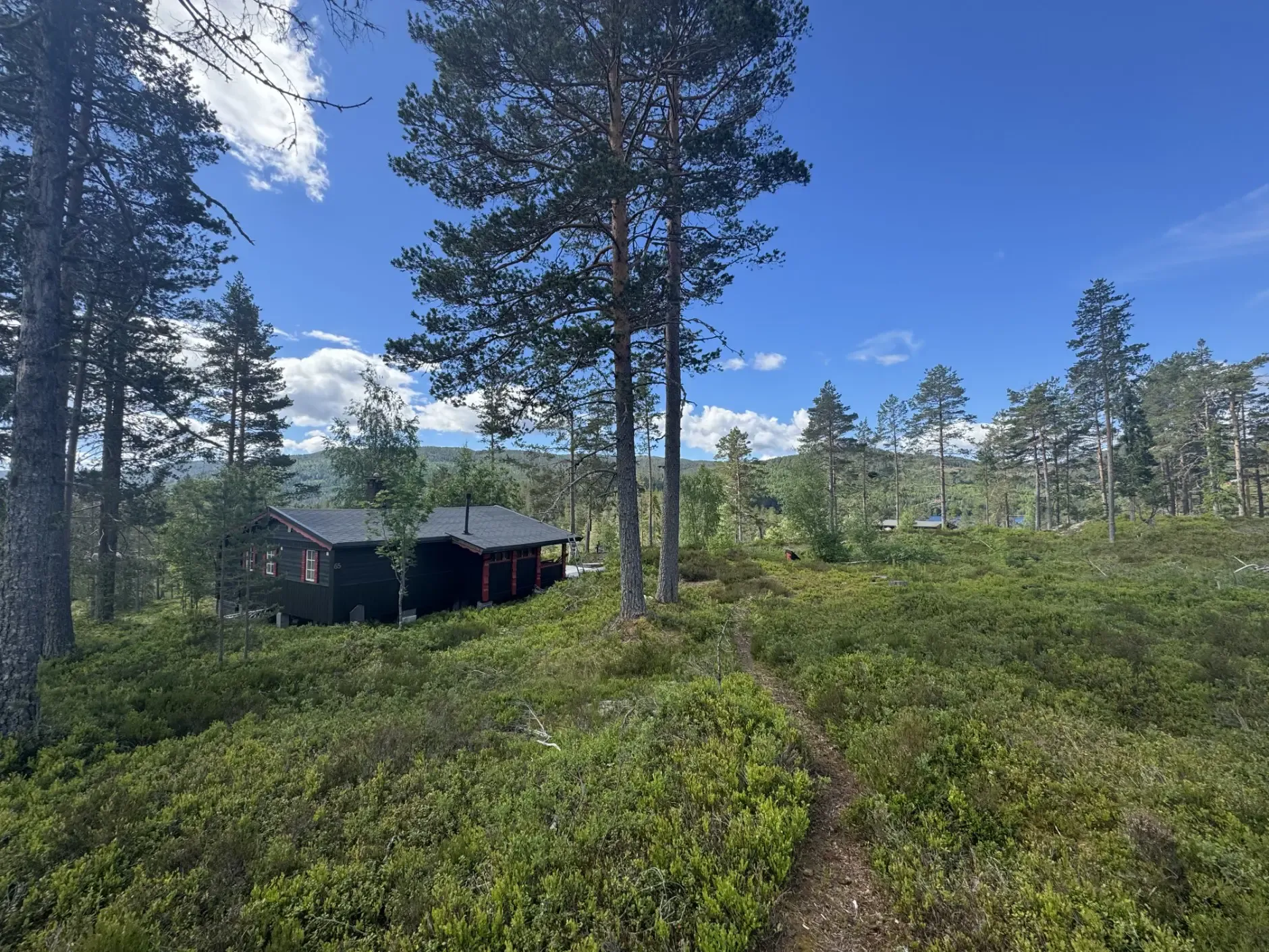 1970s Norwegian Cabin with Rustic Appeal and Two Bedrooms in Kongsberg - View image 6 of 29