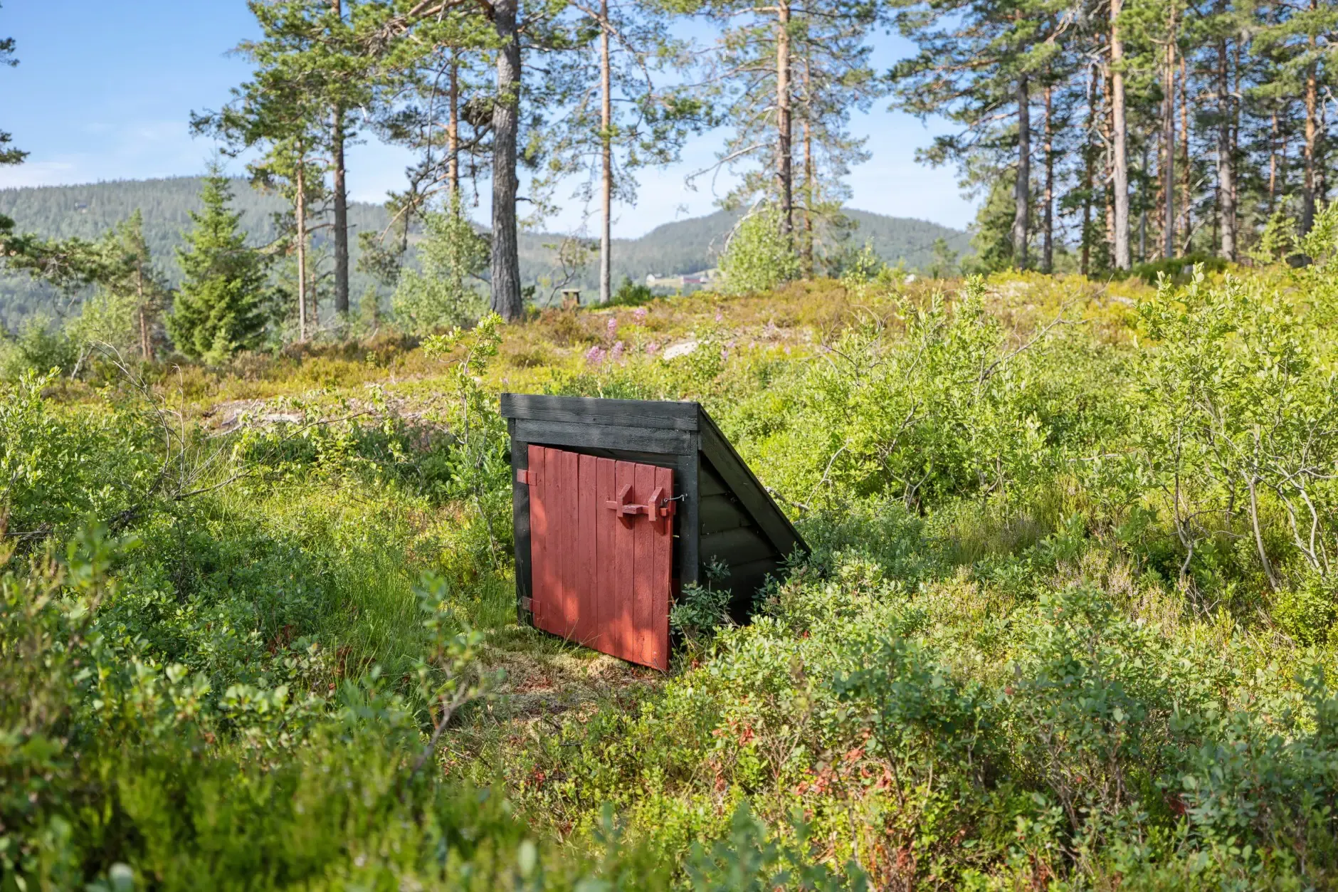 1970s Norwegian Cabin with Rustic Appeal and Two Bedrooms in Kongsberg - View image 26 of 29