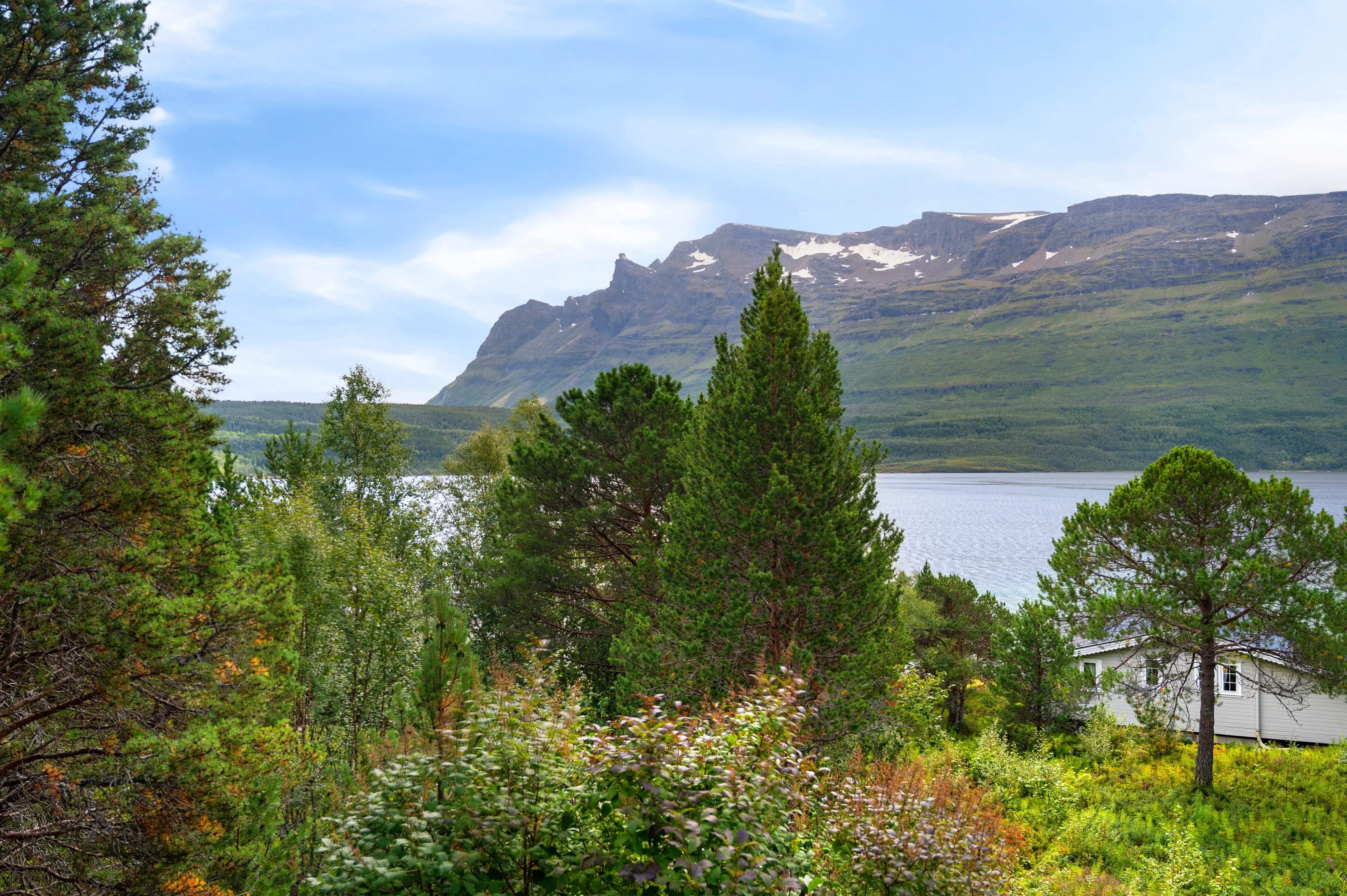 Scandinavian Cabin with Expansive Grounds in Grovfjord, Norway - View image 34 of 46