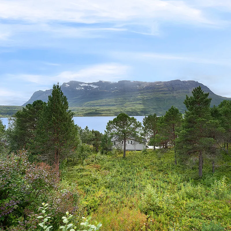 View image 35