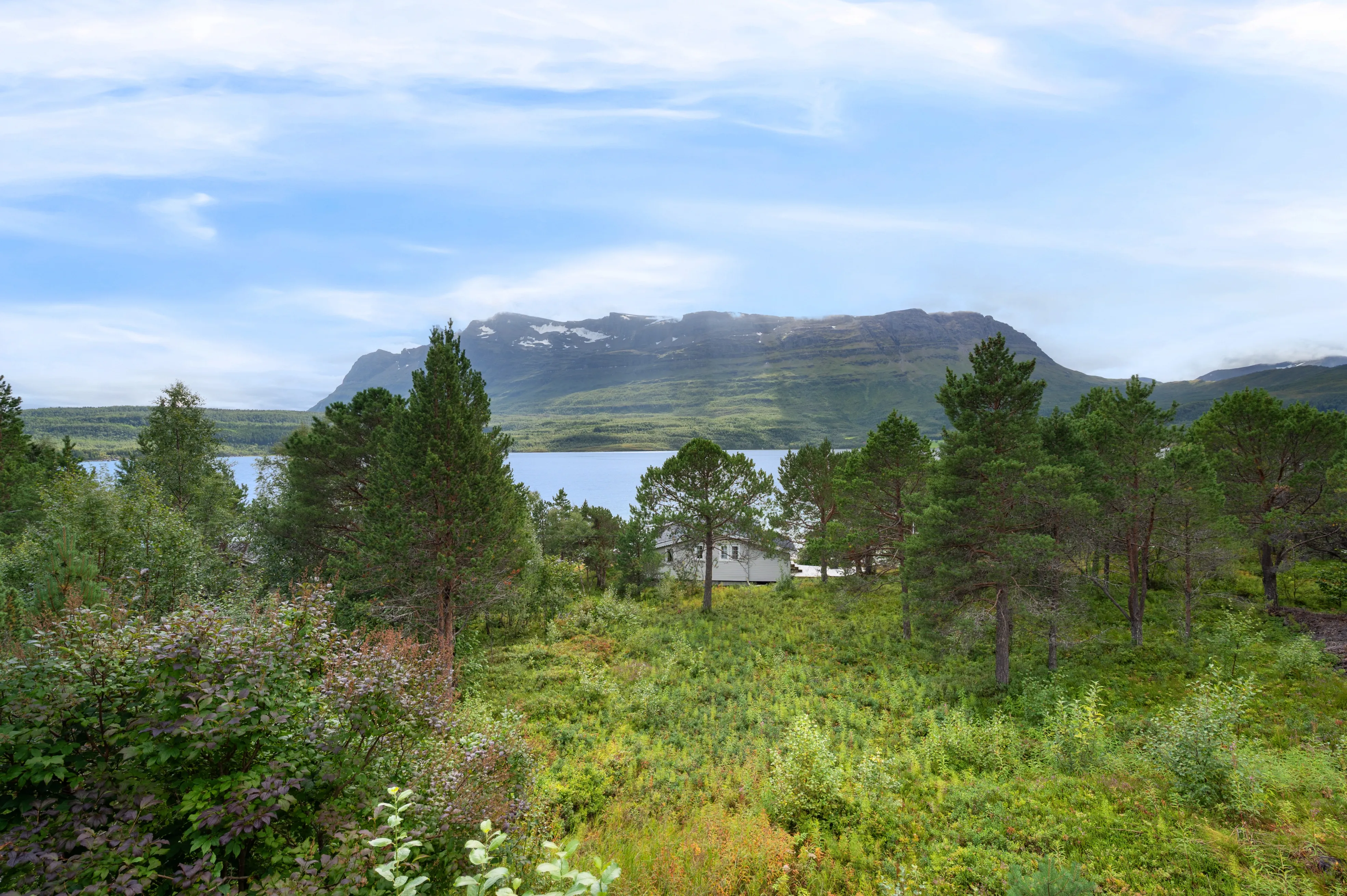 Scandinavian Cabin with Expansive Grounds in Grovfjord, Norway - View image 35 of 46