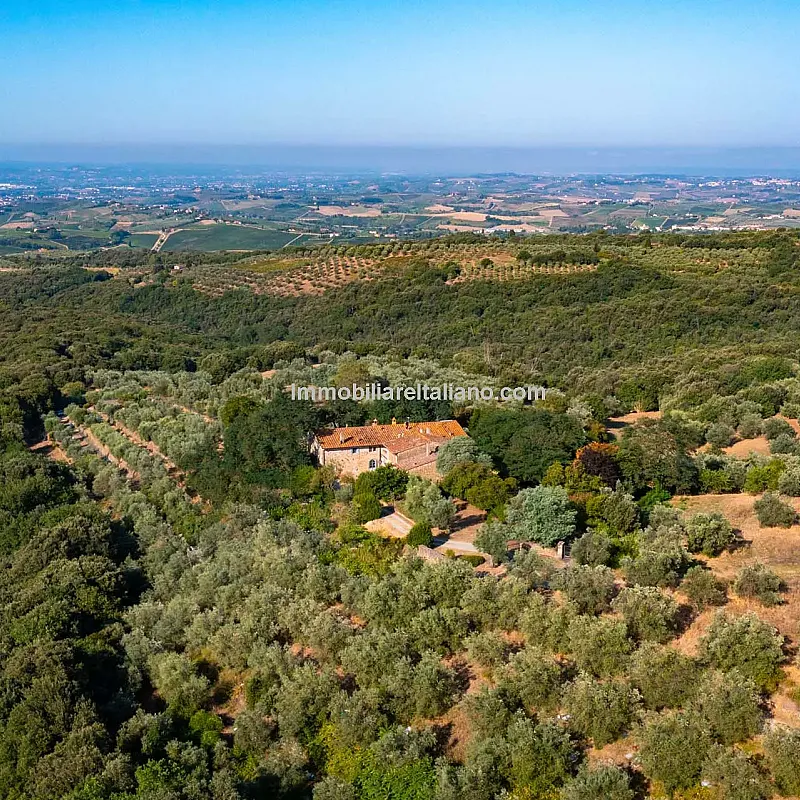 View image 2
