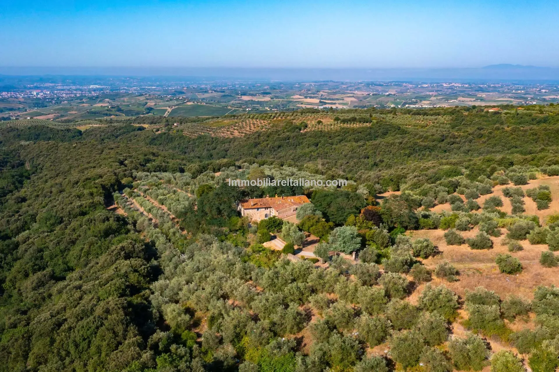 Tuscan Farmhouse with Pool and Olive Grove near Historical Vinci - Image 2