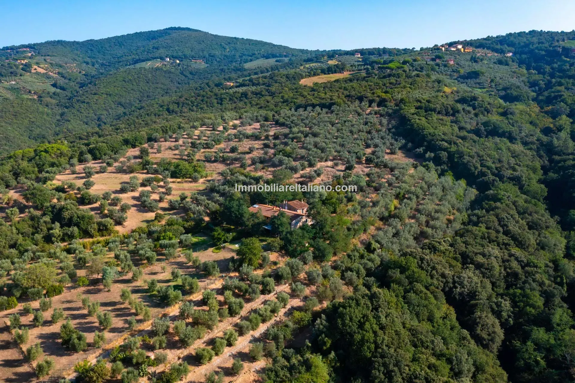 Tuscan Farmhouse with Pool and Olive Grove near Historical Vinci - View image 8 of 44