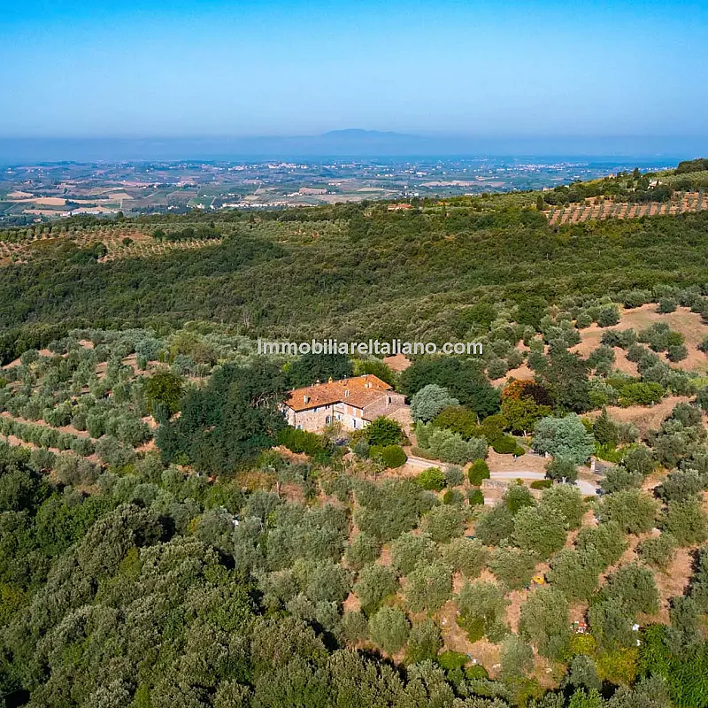 View image 9