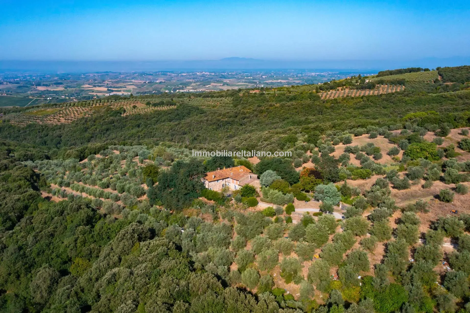 Tuscan Farmhouse with Pool and Olive Grove near Historical Vinci - View image 9 of 44
