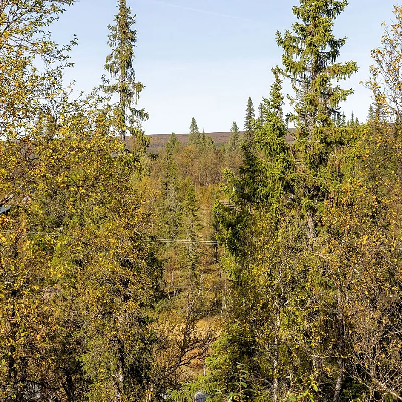 View image 30
