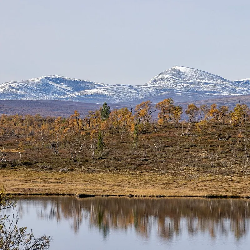 View image 32