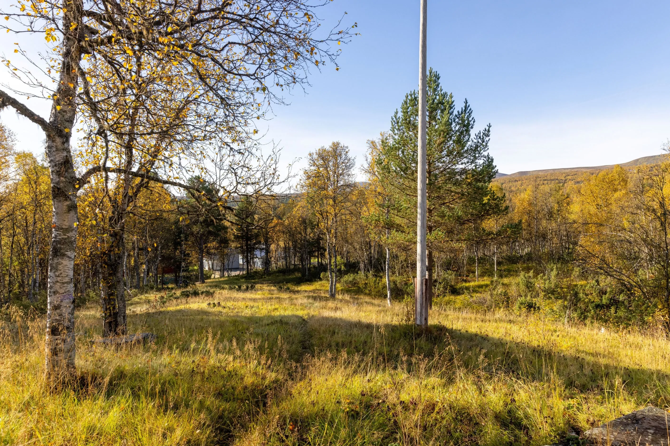 1950s Swedish Country House with Expansive Grounds in Bruksvallarna - View image 32 of 37