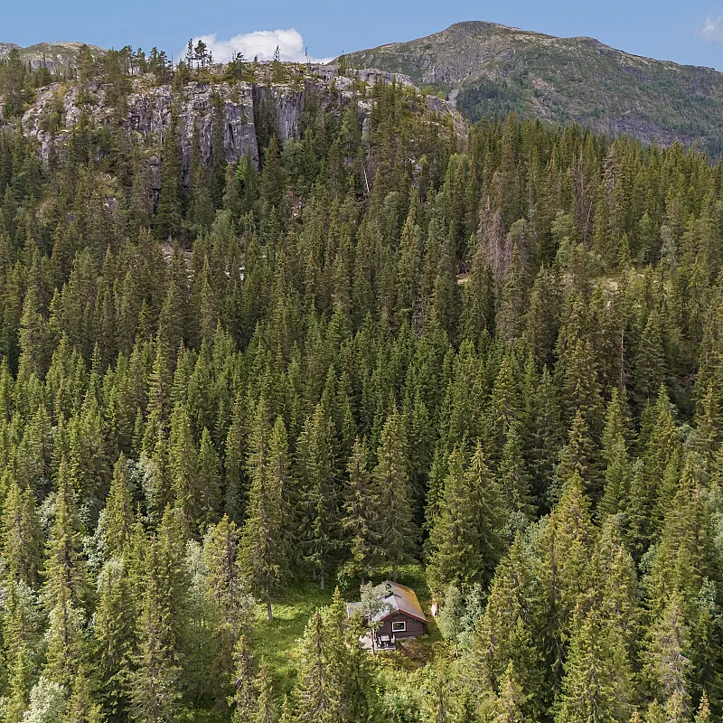 View image 5