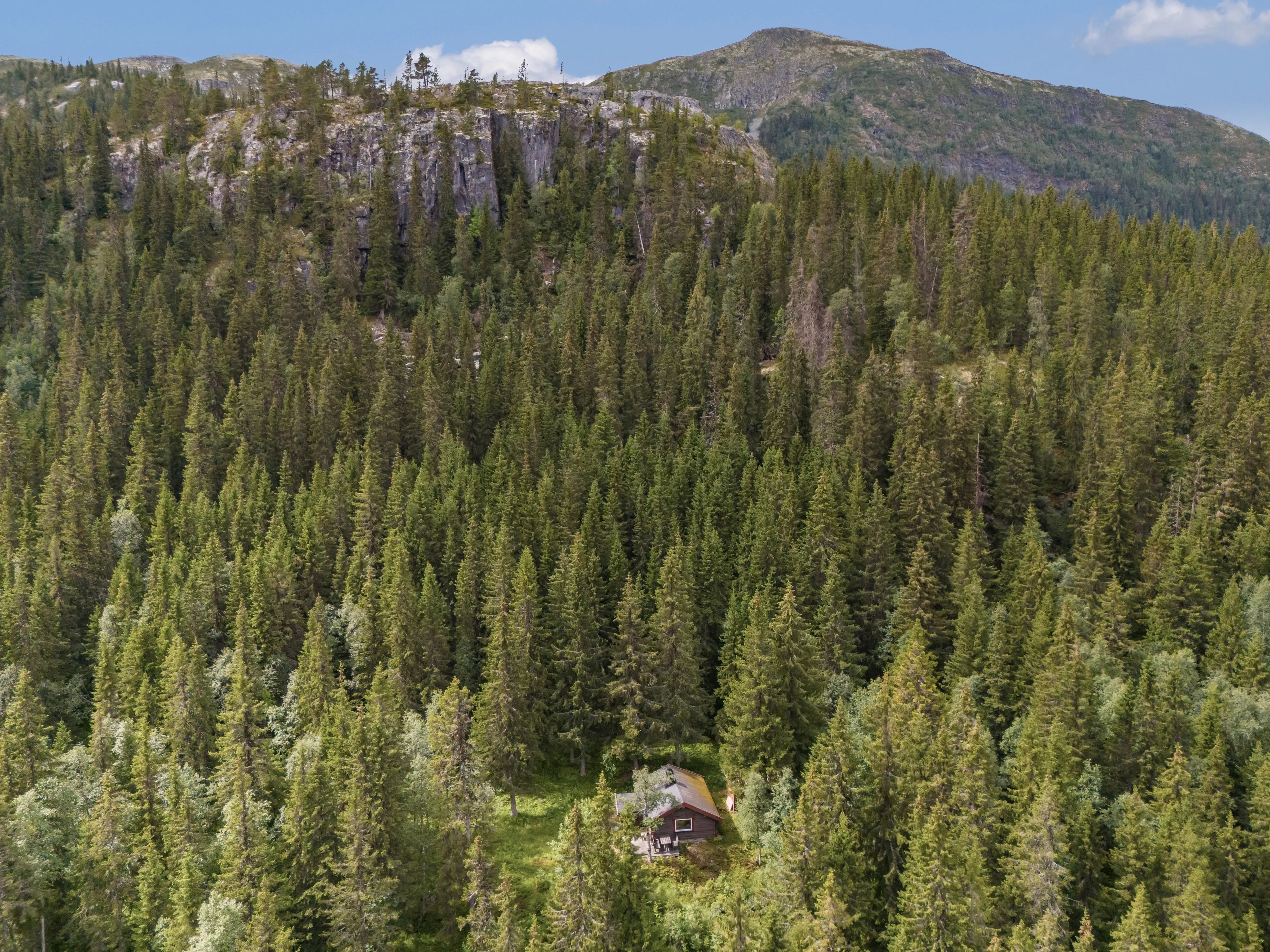 1980s Cabin with Terrace in Numedal's Scenic Outdoors - Image 5