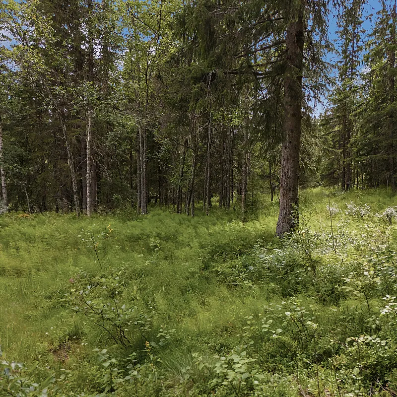 View image 26