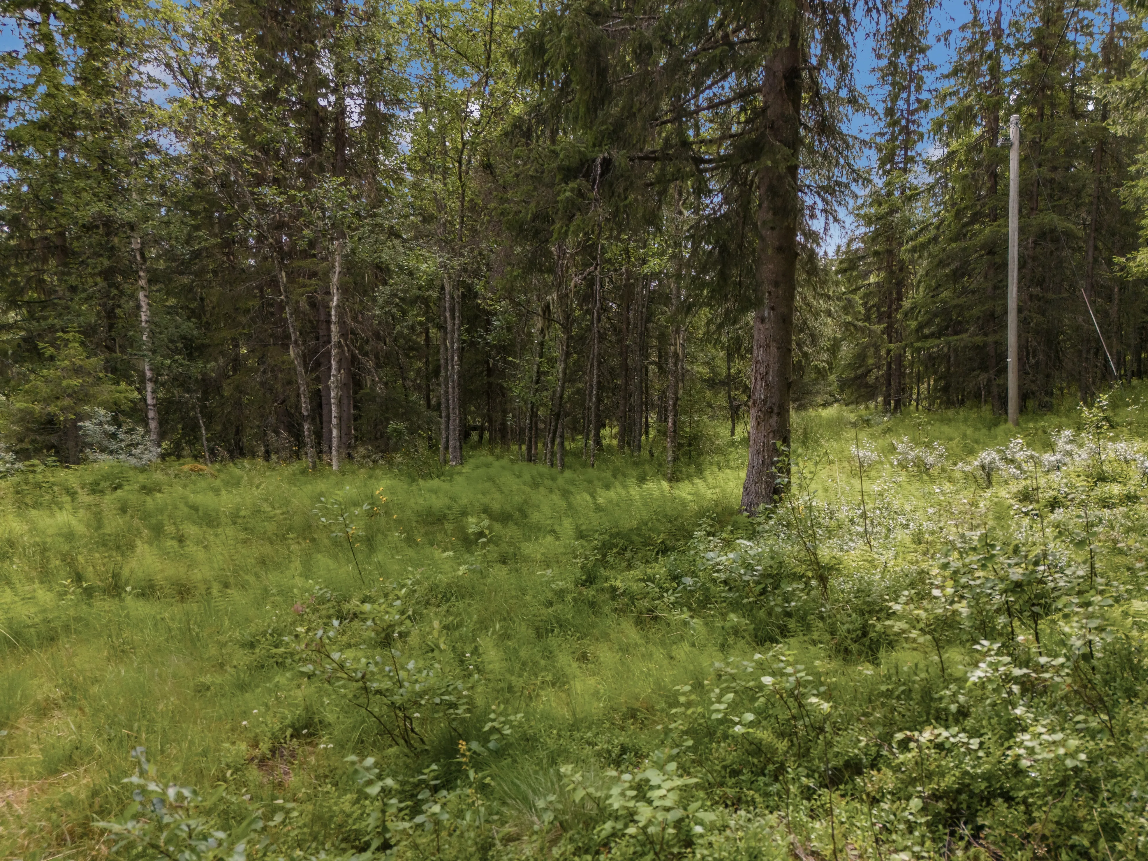 1980s Cabin with Terrace in Numedal's Scenic Outdoors - View image 26 of 27