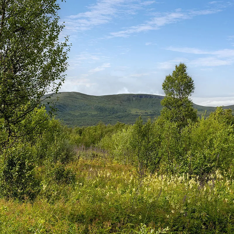 View image 33