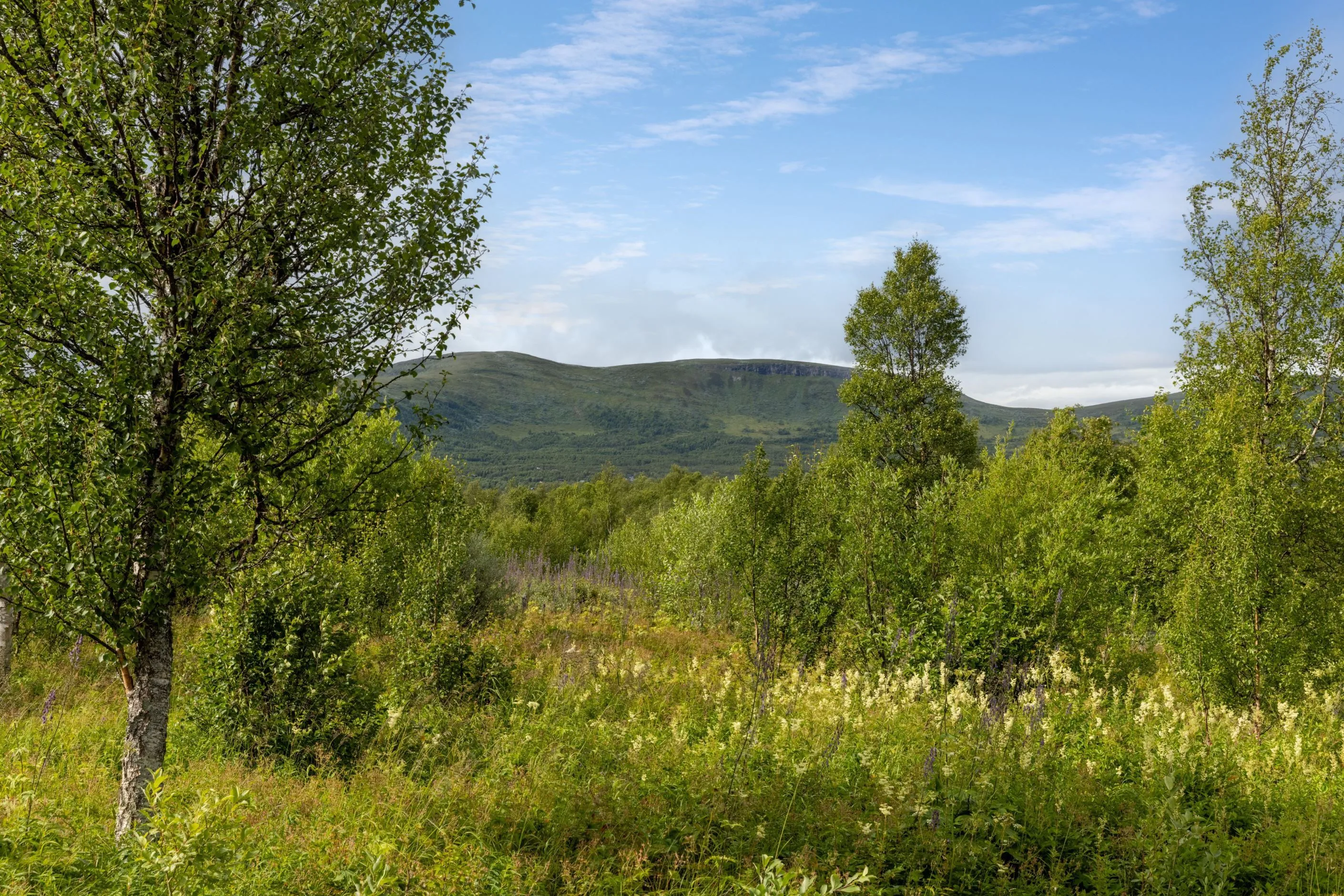 1960s Swedish Country Retreat with Garden and Terrace in Tänndalen - View image 33 of 44