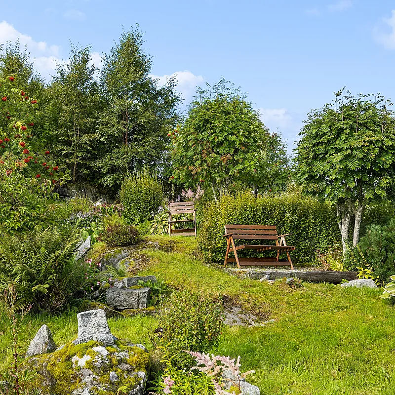 View image 39