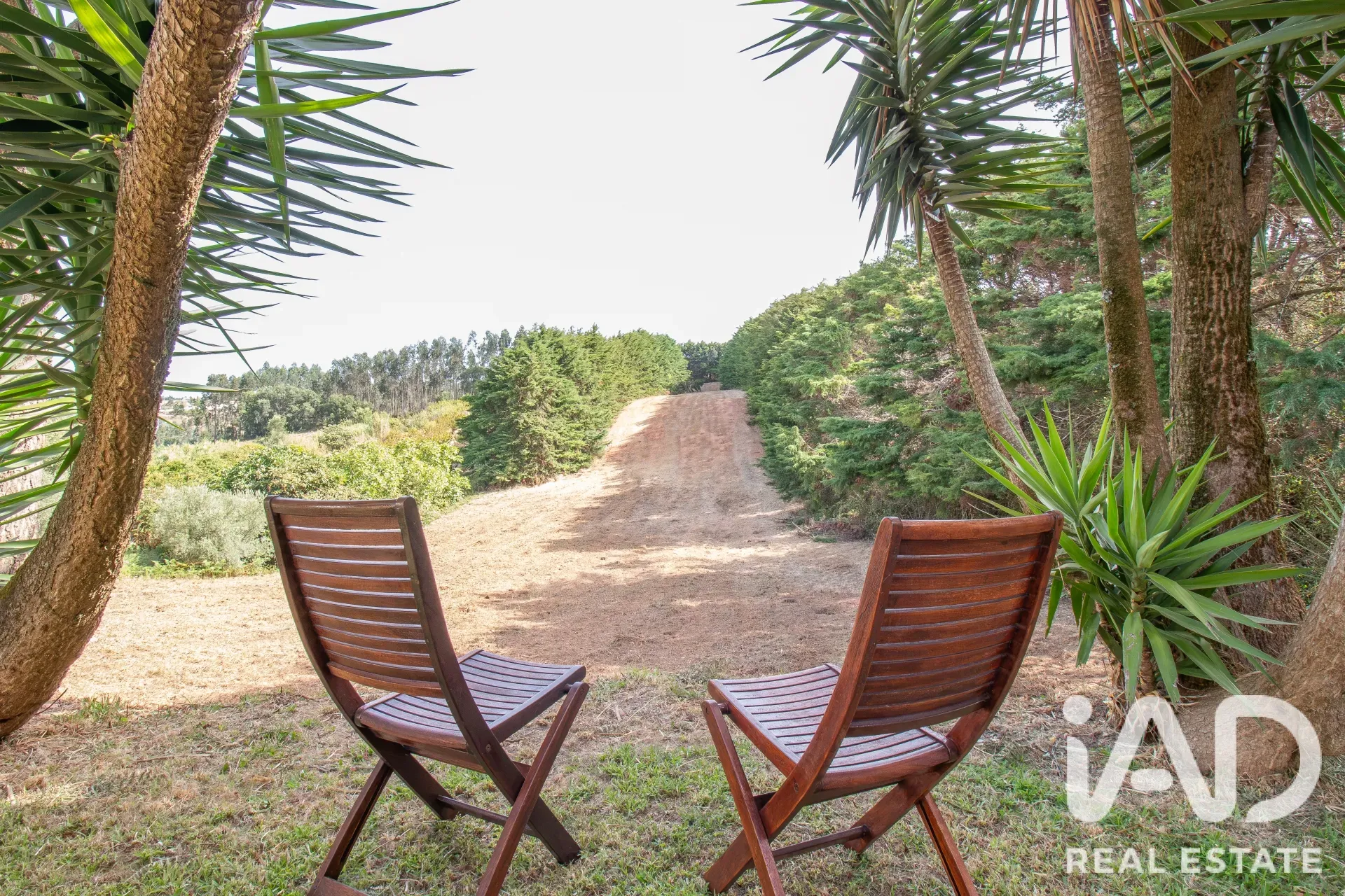 4-Bedroom House with Expansive Garden in Salir de Matos - View image 28 of 36