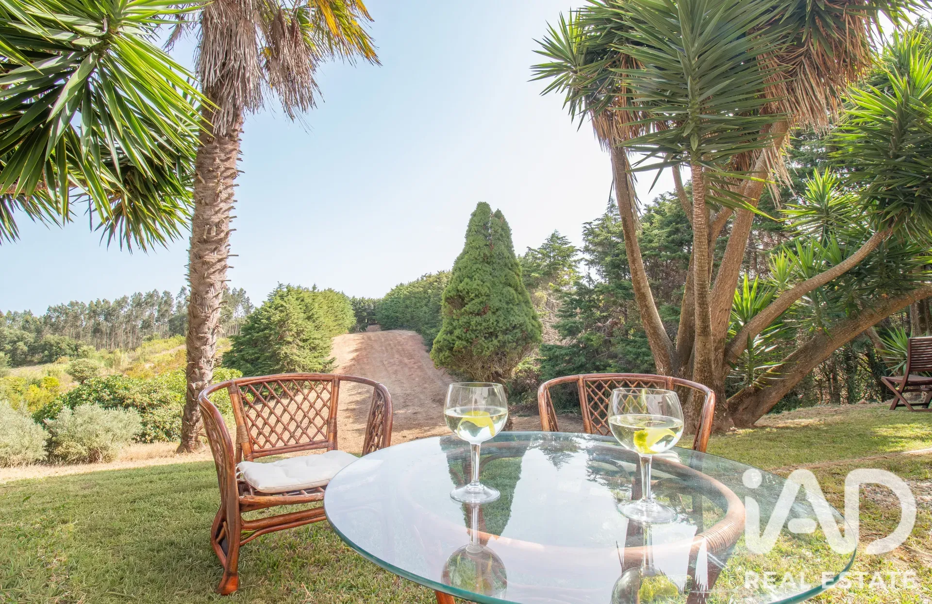 4-Bedroom House with Expansive Garden in Salir de Matos - View image 29 of 36