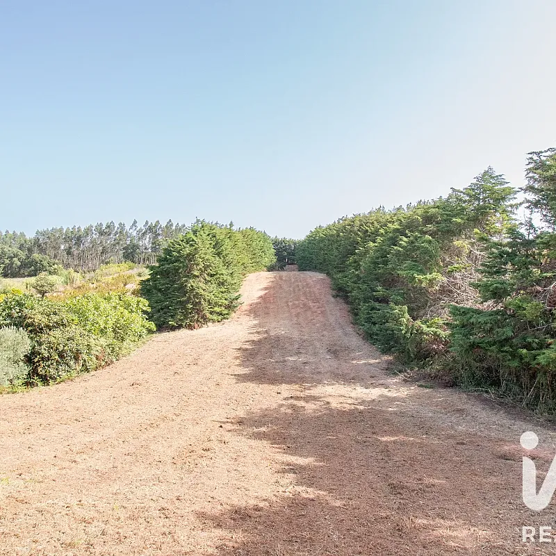 View image 31