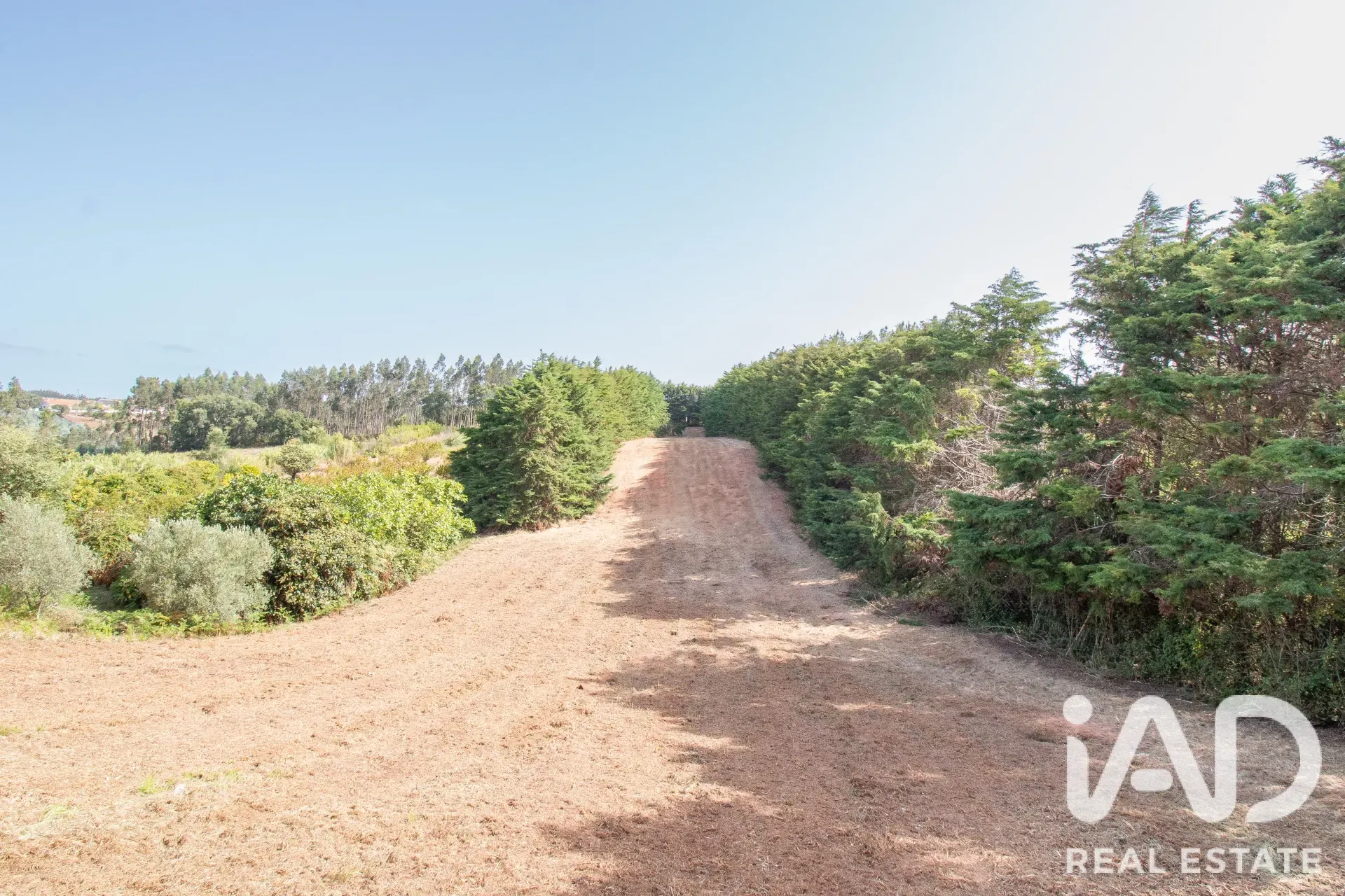 4-Bedroom House with Expansive Garden in Salir de Matos - View image 31 of 36