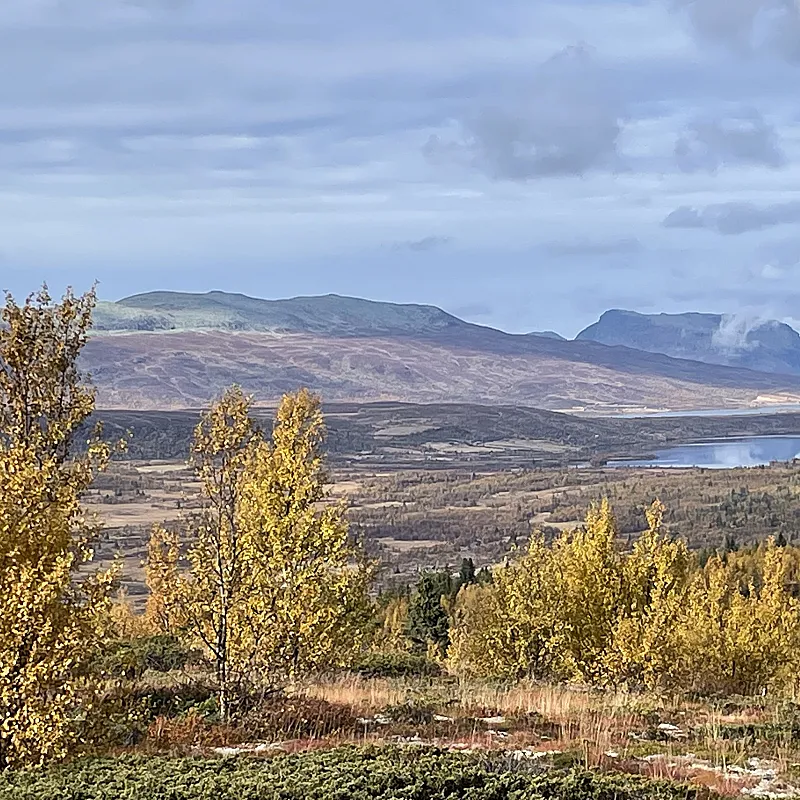 View image 50