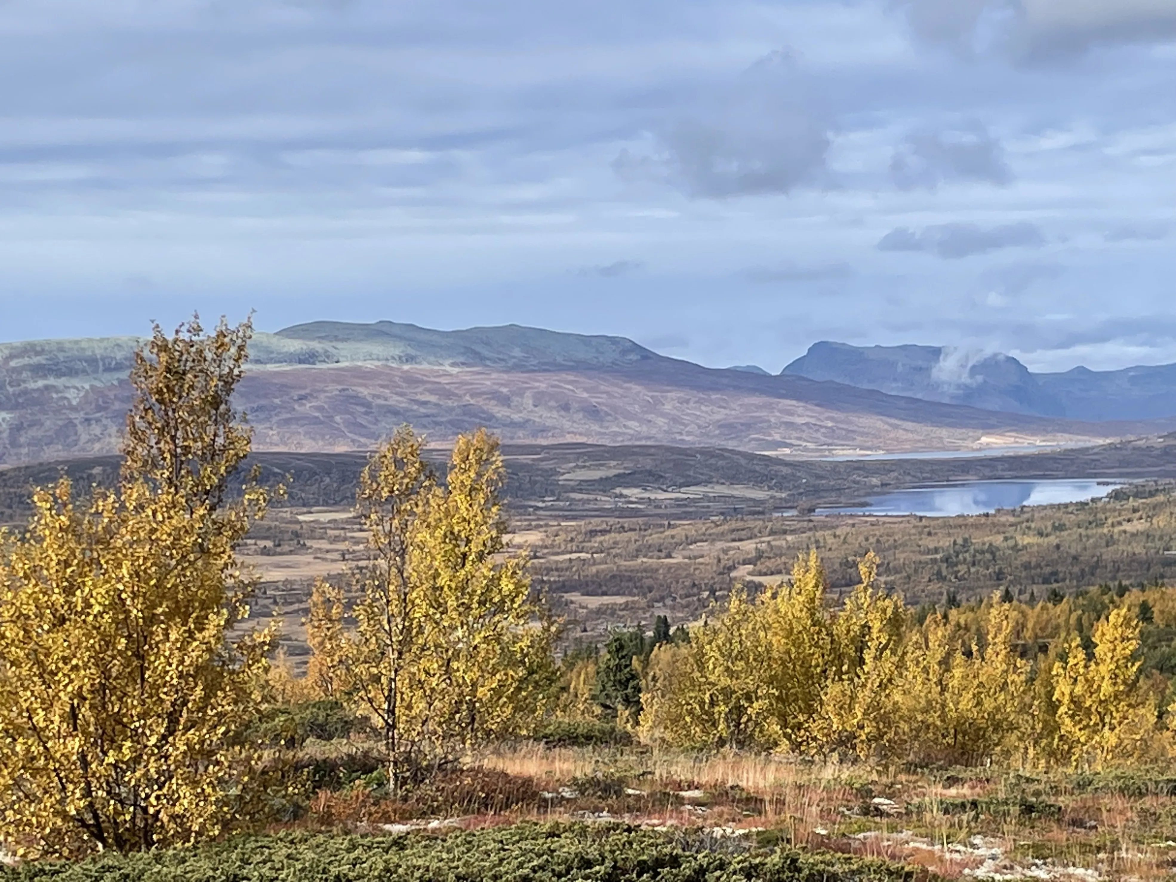 Modern 3-Bedroom House with Panoramic Views in Valdres, Norway - View image 50 of 52