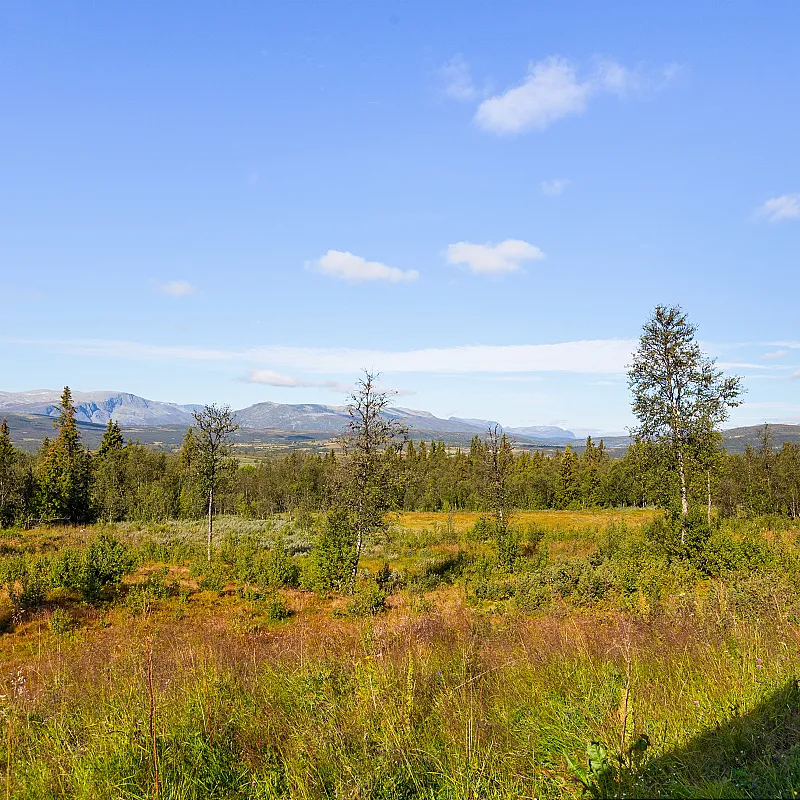 View image 51