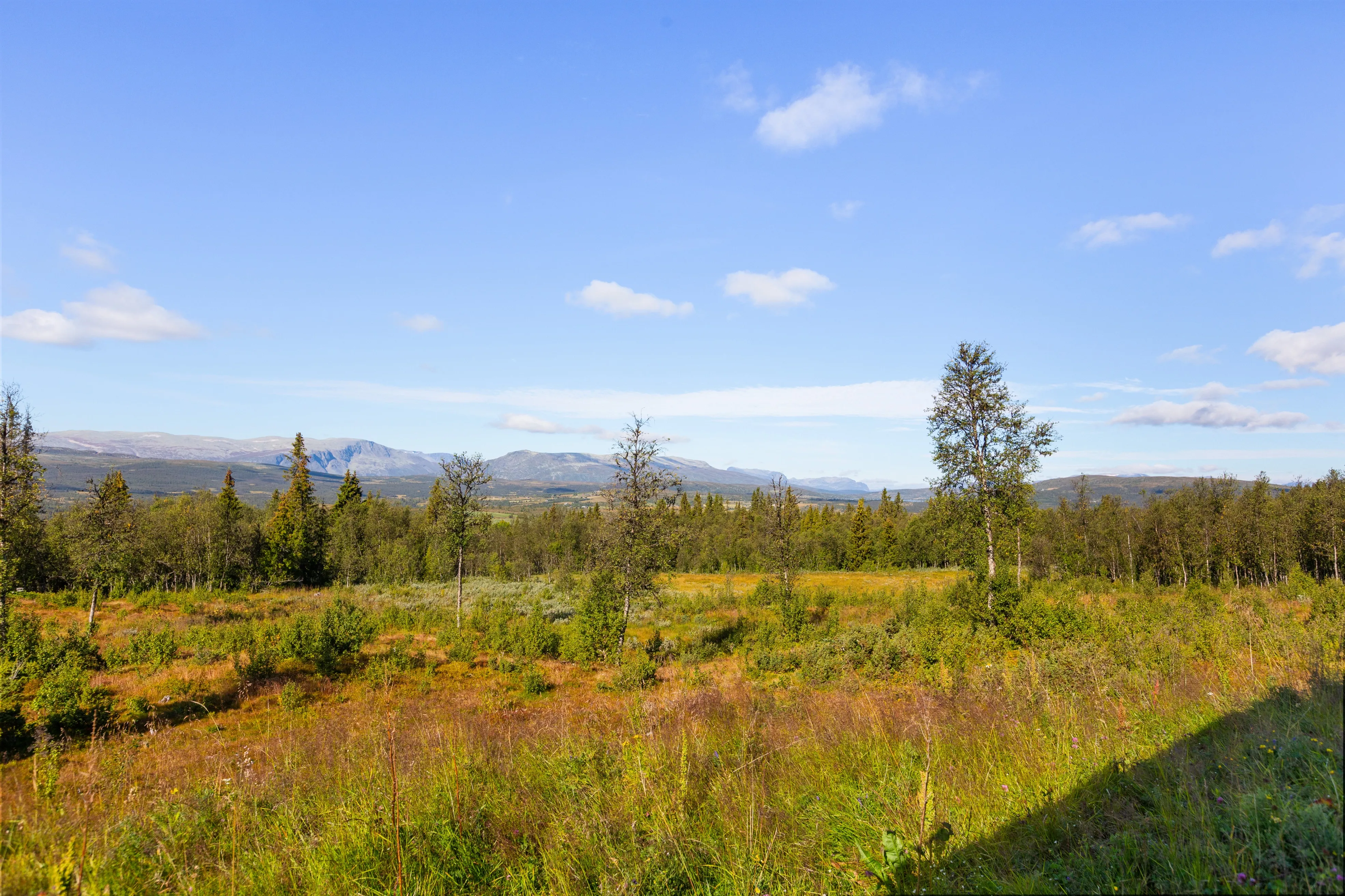 Modern 3-Bedroom House with Panoramic Views in Valdres, Norway - View image 51 of 52