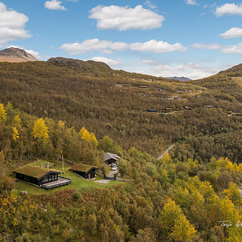 View image 3