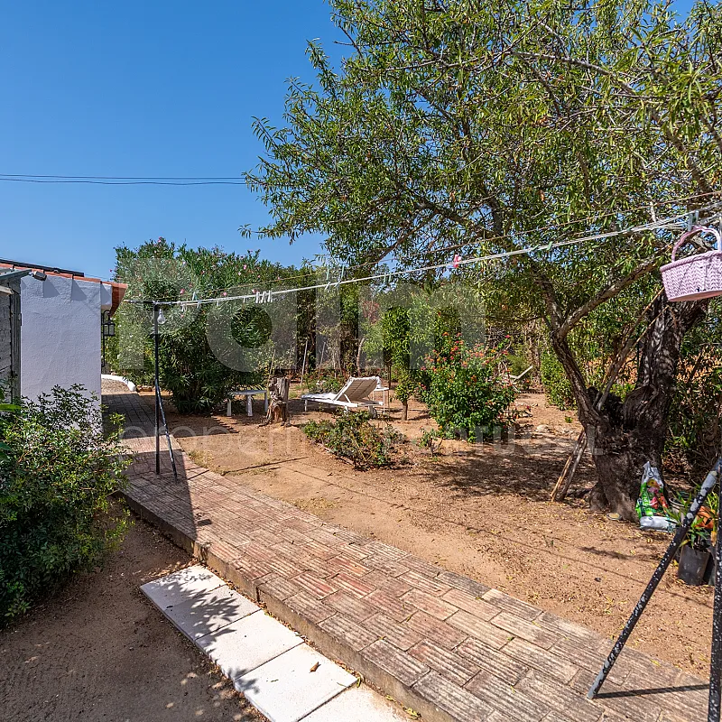 View image 50