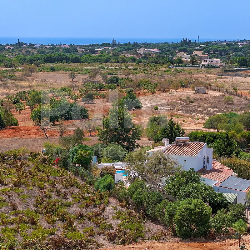 View image 60