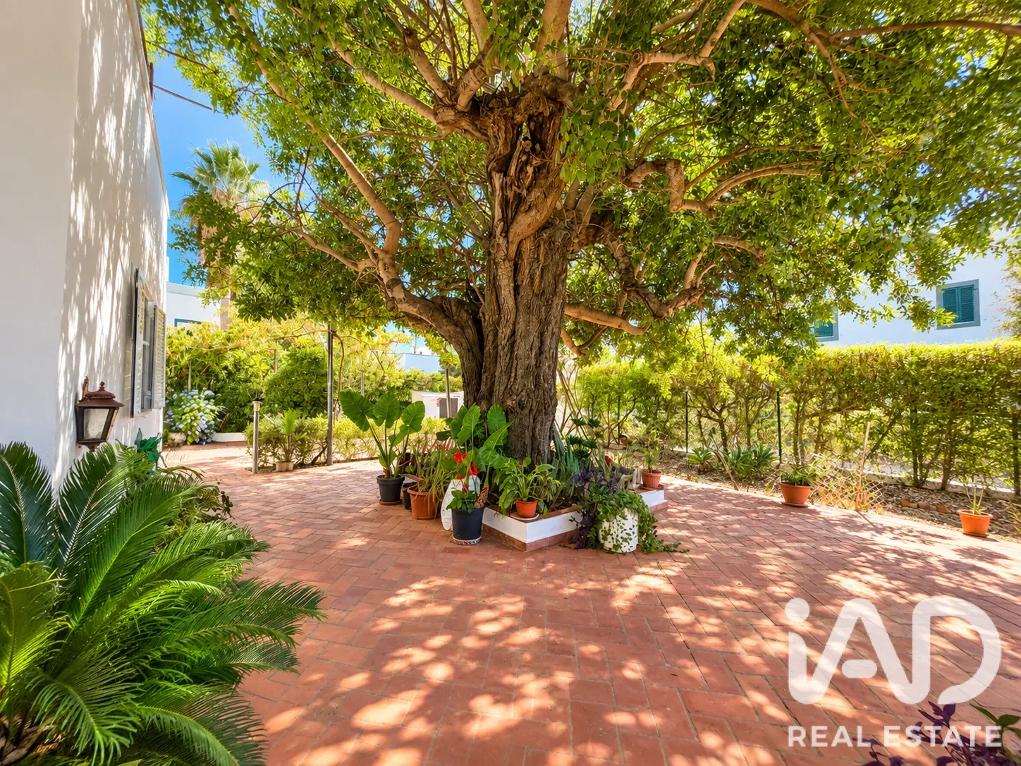 Contemporary 3-Bedroom House with Pool and Garden in Tavira, Portugal - View image 33 of 39
