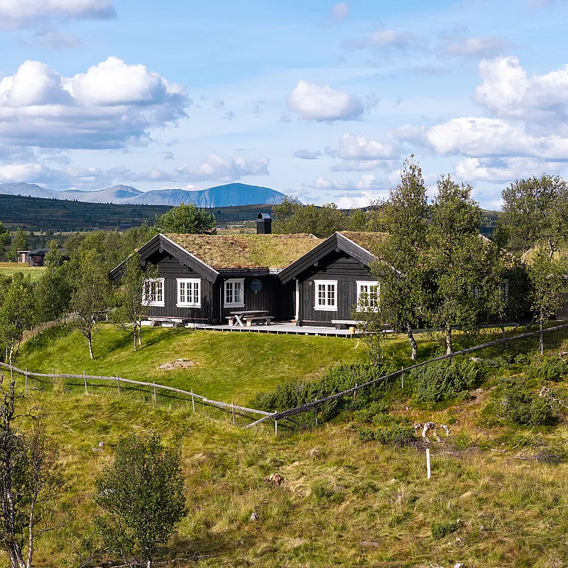 Spacious 4-Bedroom Cabin with Mountain Vistas in Hallingdal, Norway