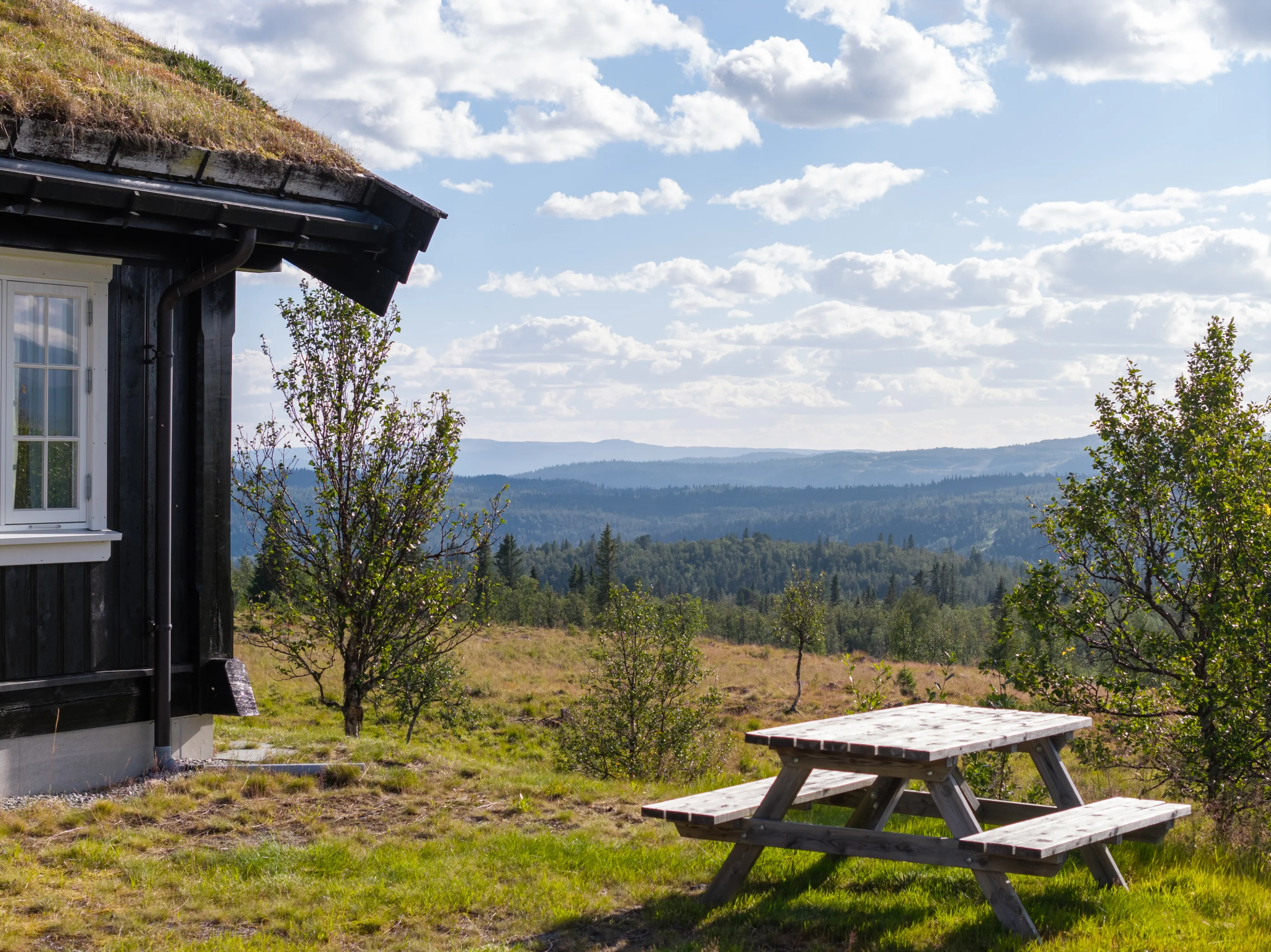 Spacious 4-Bedroom Cabin with Mountain Vistas in Hallingdal, Norway - View image 31 of 37