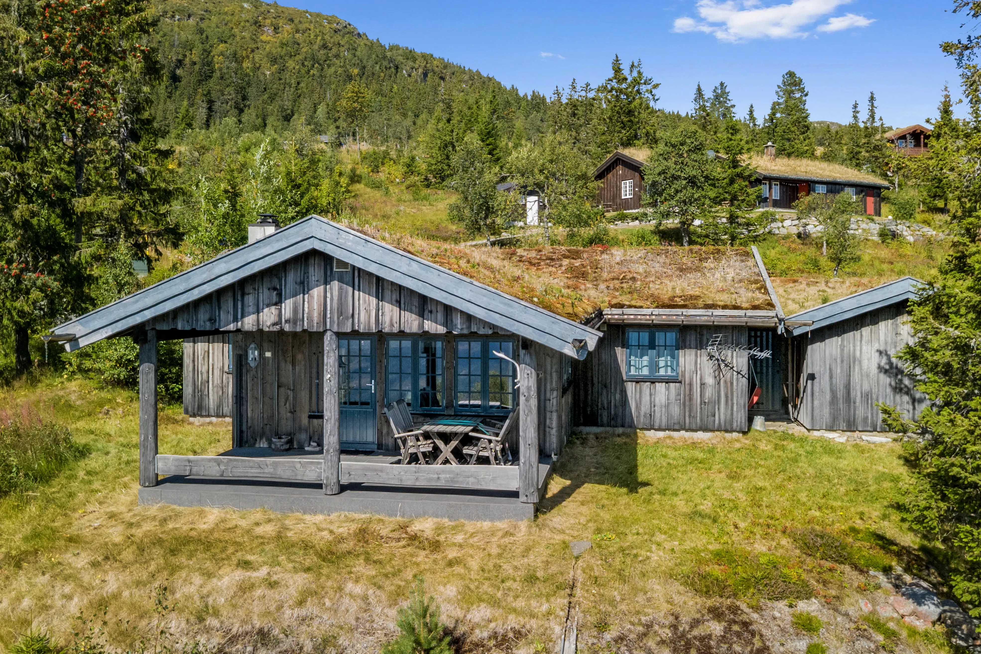 Contemporary 3-Bedroom Cabin with Sauna and Terrace in Scenic Eggedal - Image 3