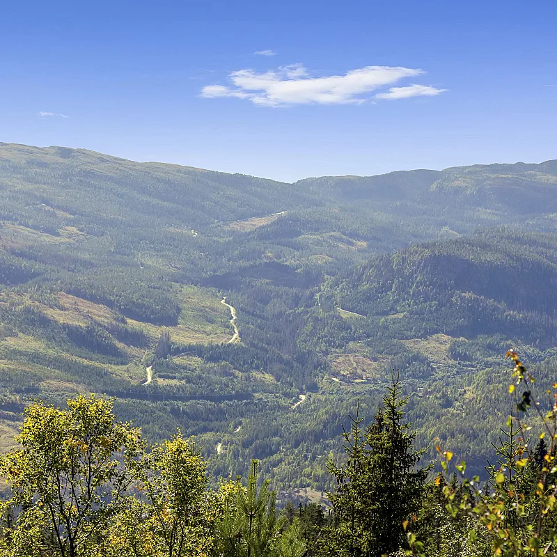 View image 40