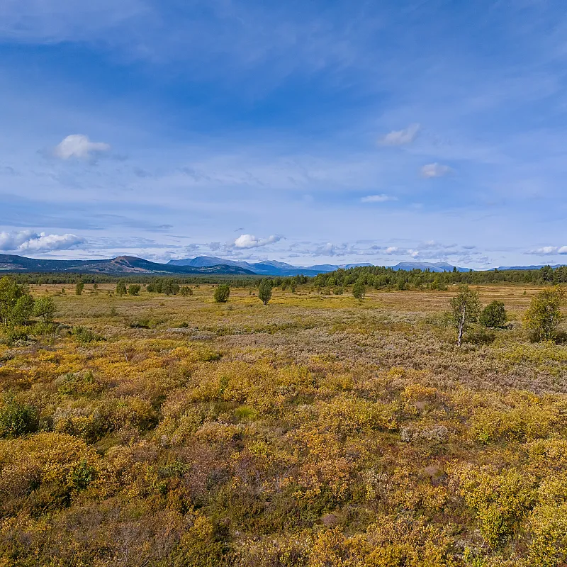 View image 40