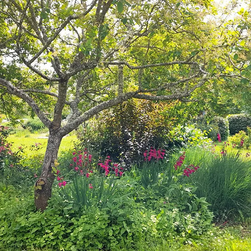 View image 36