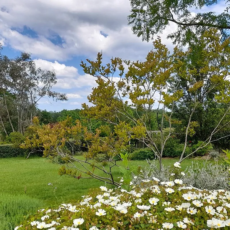 View image 37