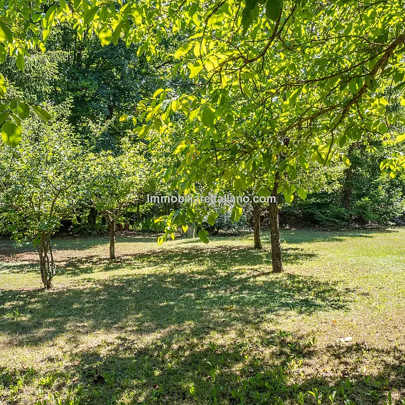 View image 9