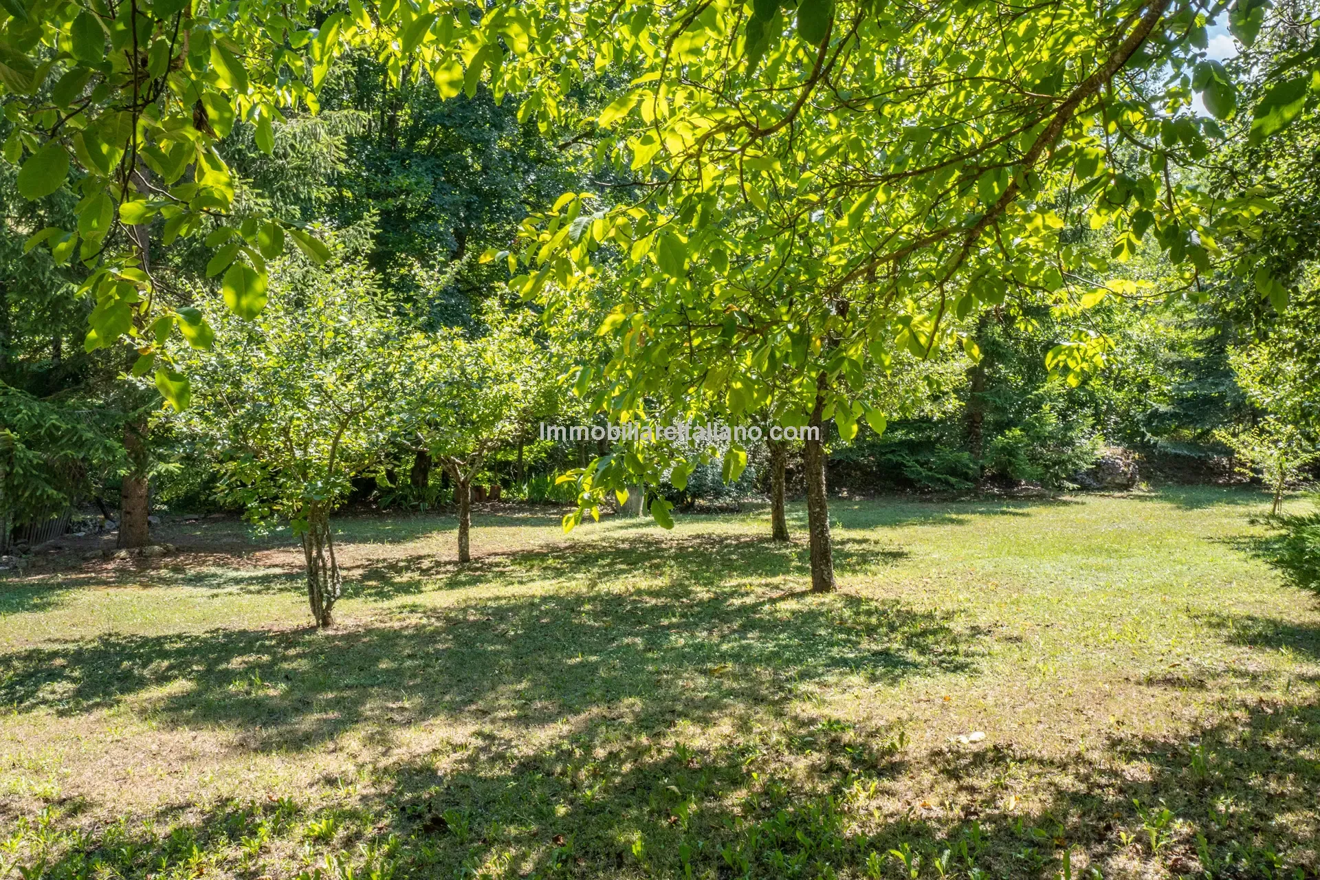 Restored Tuscan Farmhouse with Garden and Garage Near Badia Tedalda - View image 9 of 42